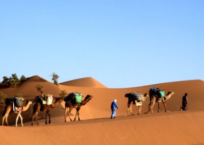 Trekking dans le désert au Maroc