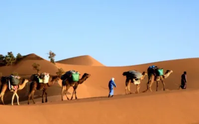 Trekking Desert Maroc : Explorez le Désert de Mhamid avec Yaya