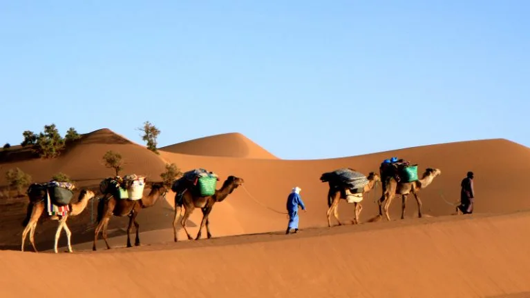 Trekking dans le désert au Maroc