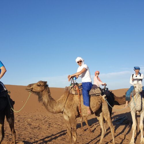 Excursion dans le désert marocain