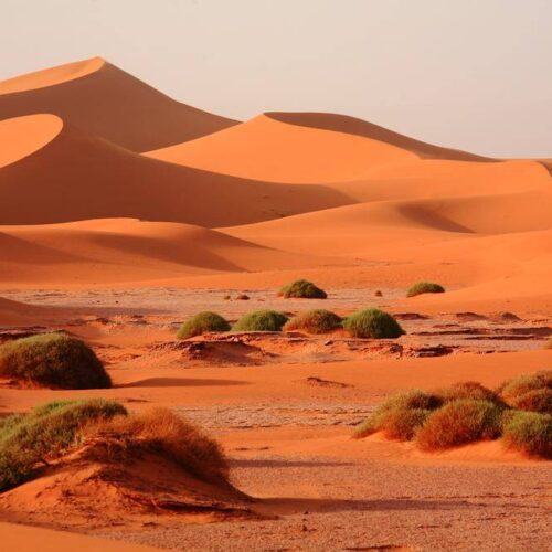 Excursion à l'Erg Chegaga, désert marocain