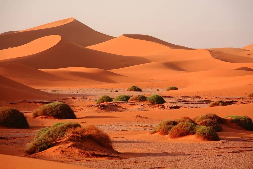 Excursion à l'Erg Chegaga, désert marocain