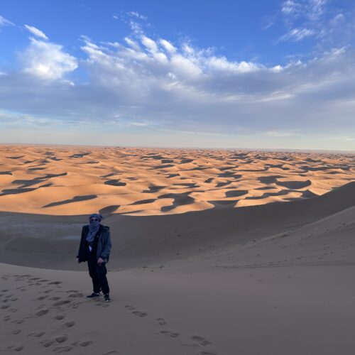 Vue panoramique sur les dunes de l'Erg Chegaga depuis un point culminant