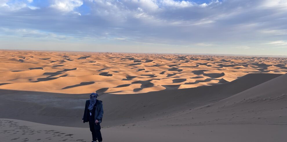 Vue panoramique sur les dunes de l'Erg Chegaga depuis un point culminant