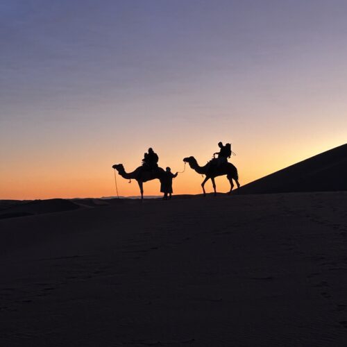 Caravane de chameaux au coucher du soleil dans le désert marocain