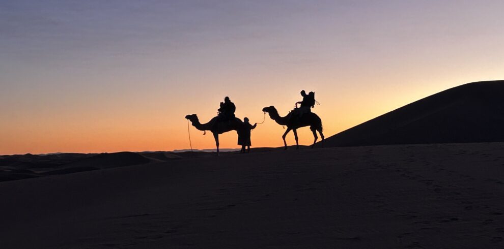 Caravane de chameaux au coucher du soleil dans le désert marocain