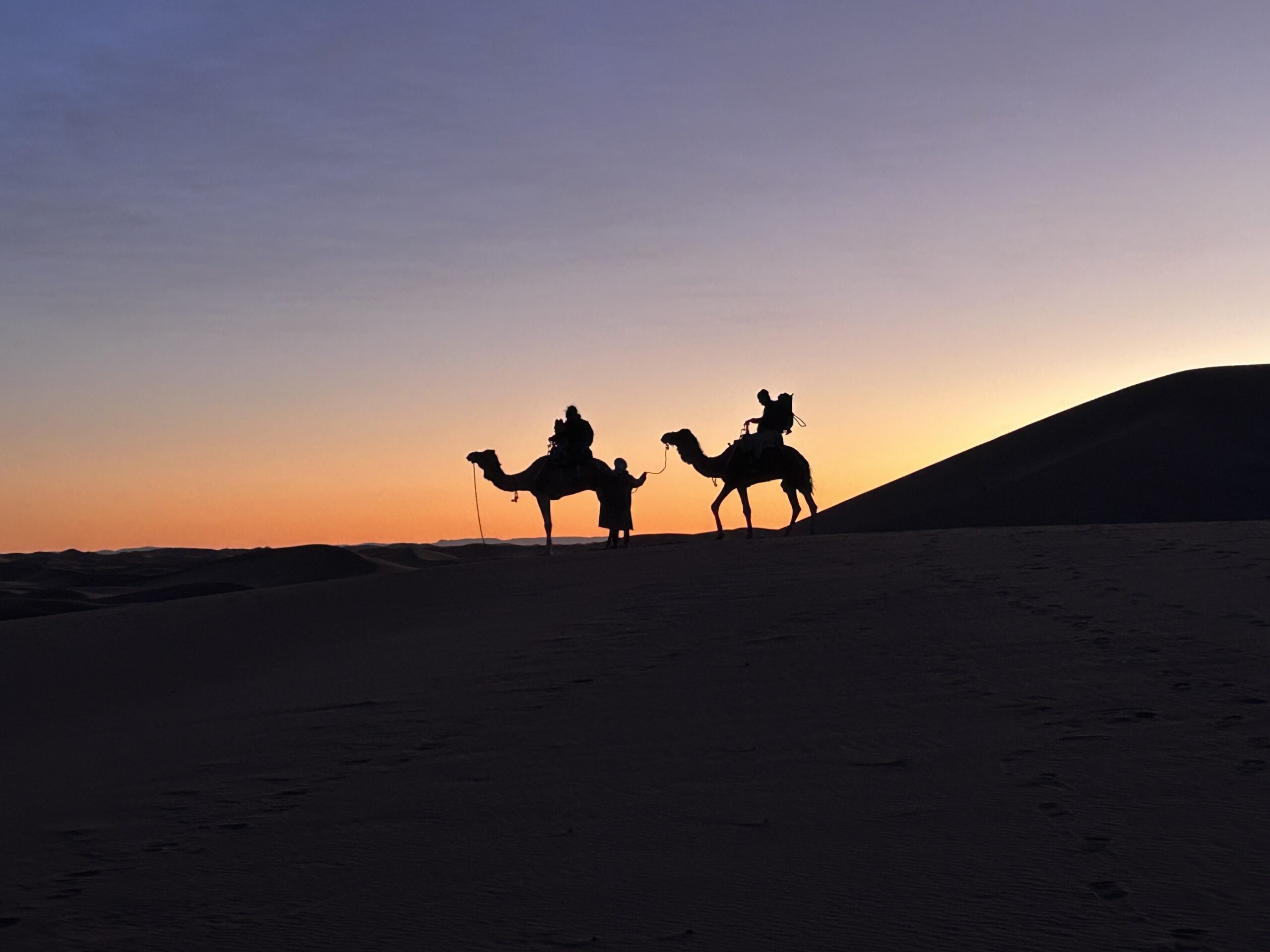 Caravane de chameaux au coucher du soleil dans le désert marocain