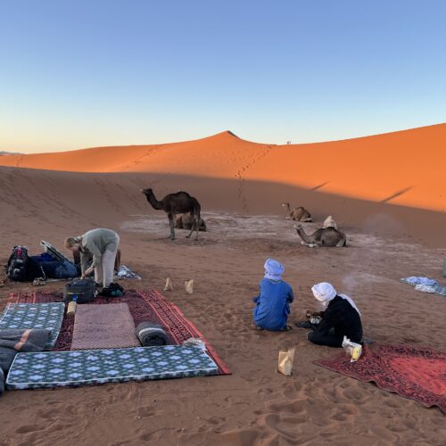 Bivouac avec chameaux au repos, camp dans les dunes de l'Erg Chegaga
