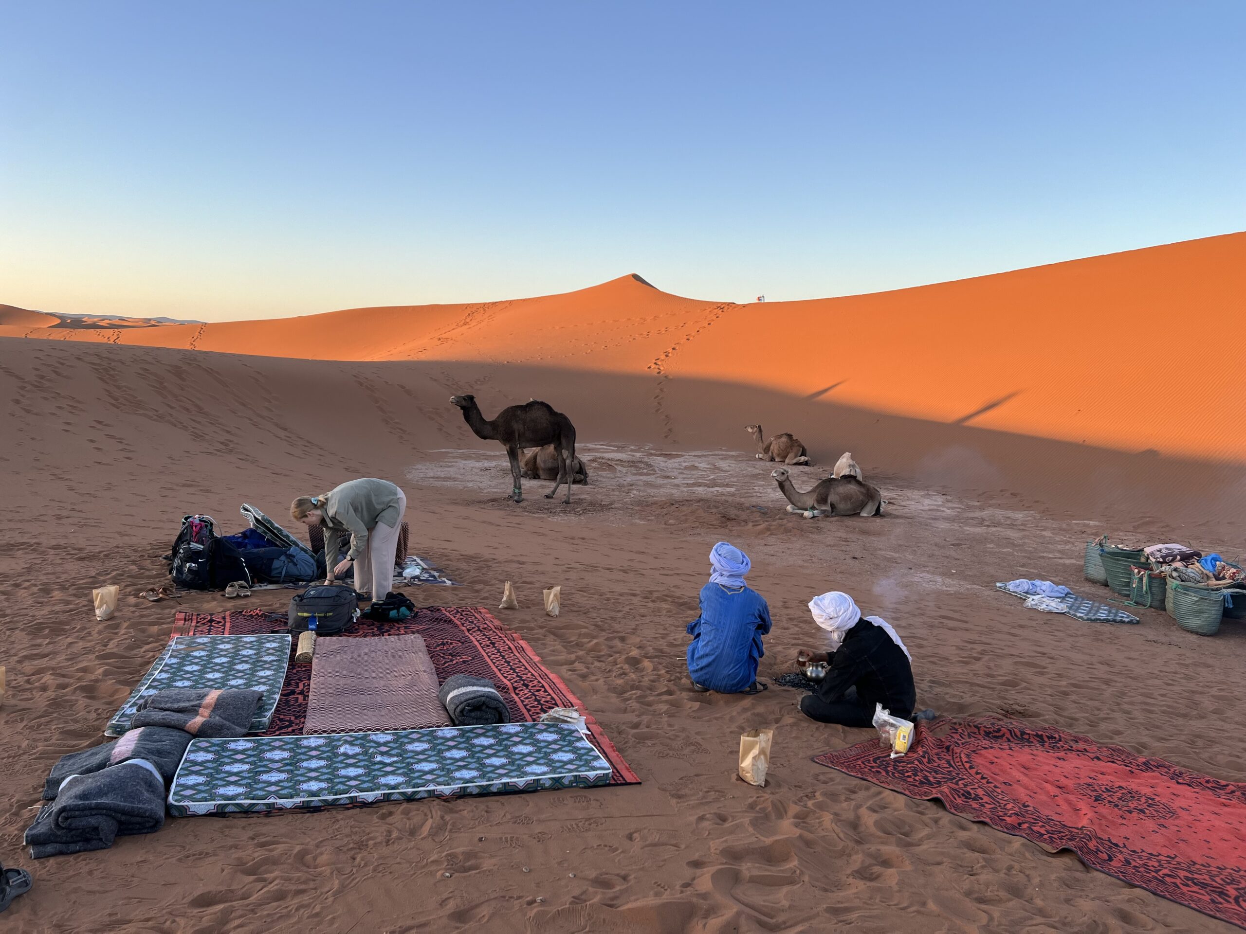 Bivouac avec chameaux au repos, camp dans les dunes de l'Erg Chegaga