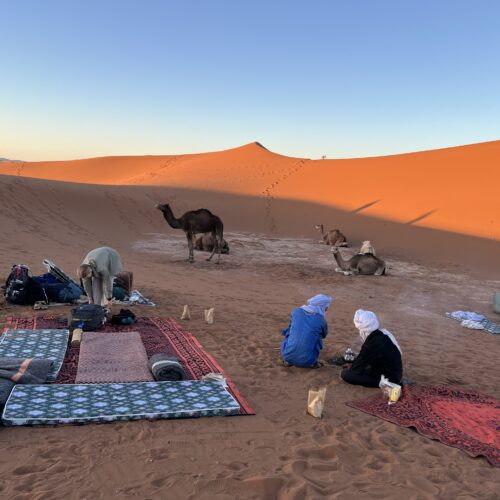 Campement dans le désert avec chameaux, coucher de soleil sur l'Erg Chegaga