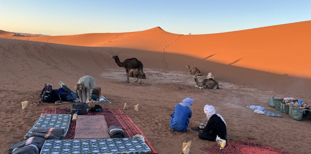 Campement dans le désert avec chameaux, coucher de soleil sur l'Erg Chegaga