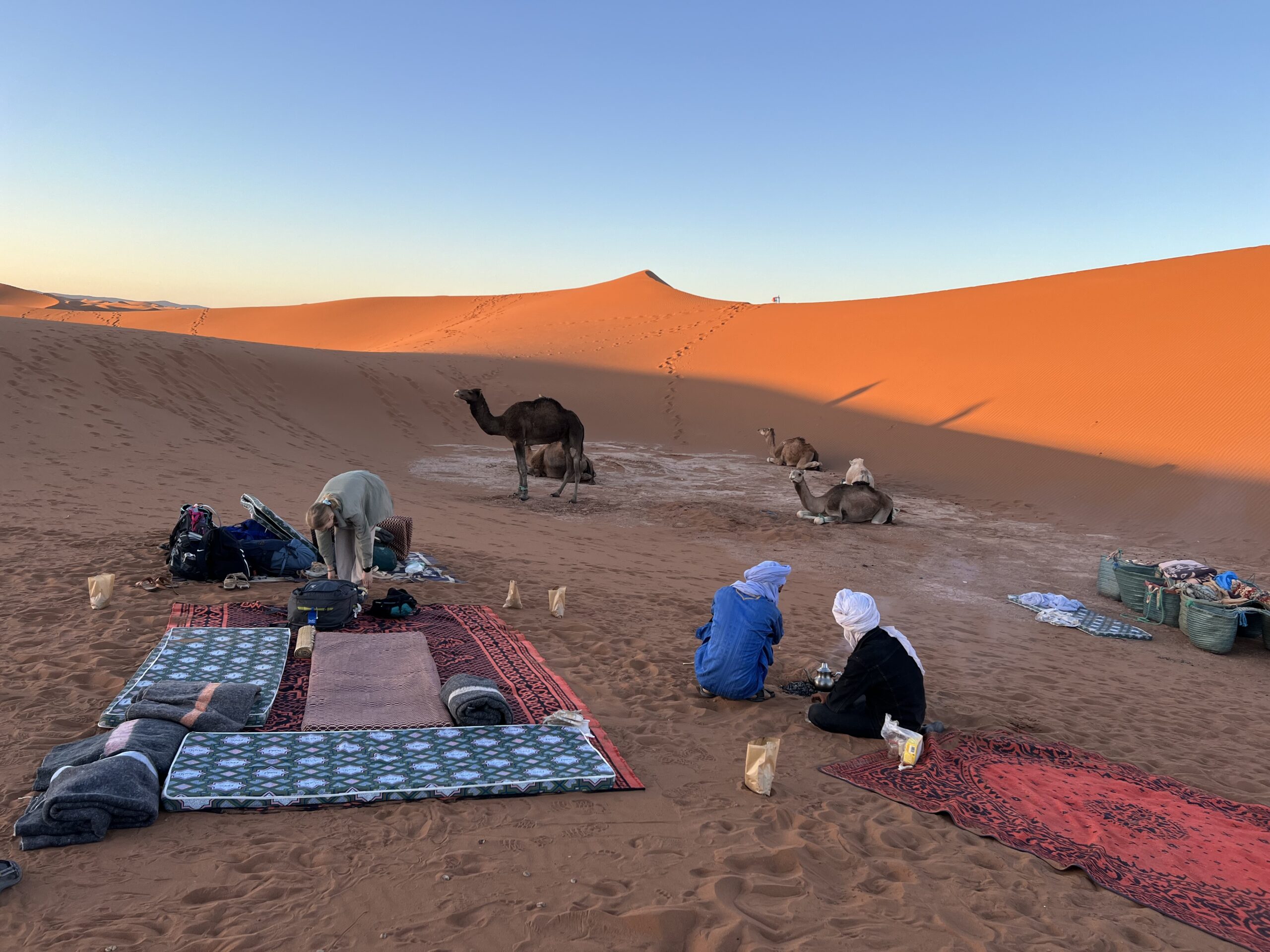 Campement dans le désert avec chameaux, coucher de soleil sur l'Erg Chegaga