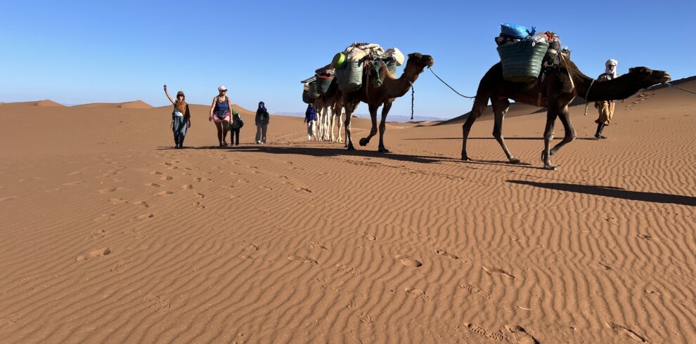 Groupe de randonneurs marchant avec une caravane de chameaux dans le désert