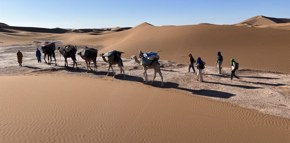 Trekkeurs et caravane de chameaux traversant les dunes du Sahara marocain