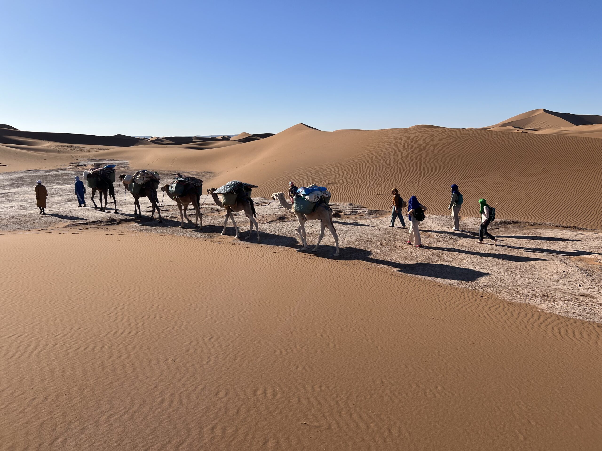 Trekkeurs et caravane de chameaux traversant les dunes du Sahara marocain