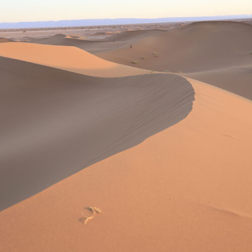 Vue panoramique des dunes de l'Erg Chegaga au lever du soleil
