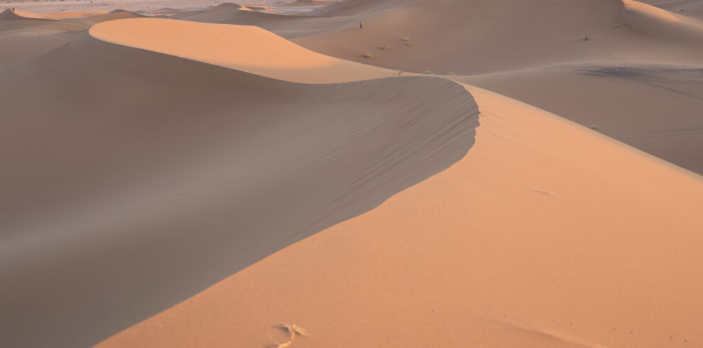 Vue panoramique des dunes de l'Erg Chegaga au lever du soleil