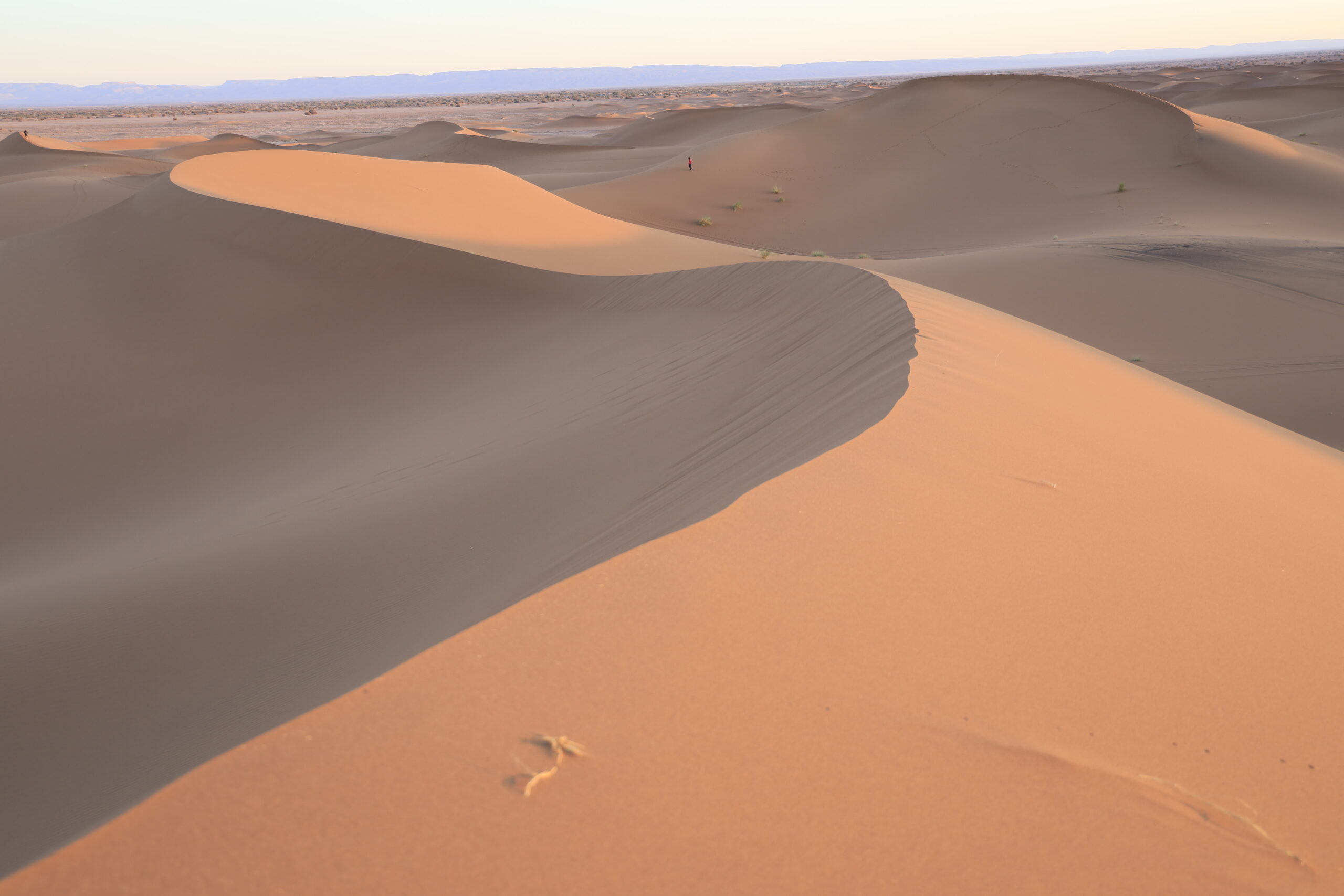 Vue panoramique des dunes de l'Erg Chegaga au lever du soleil