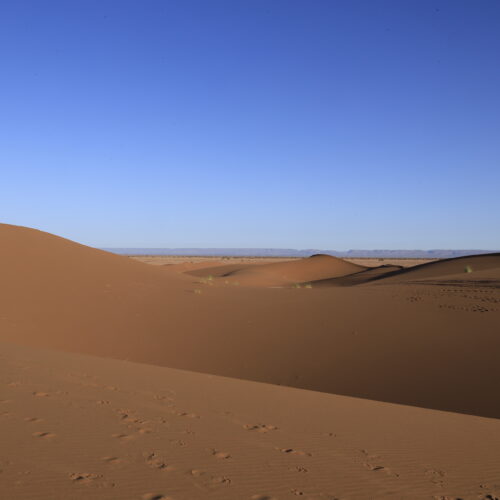 Randonneur au sommet d'une dune, désert du Sahara marocain