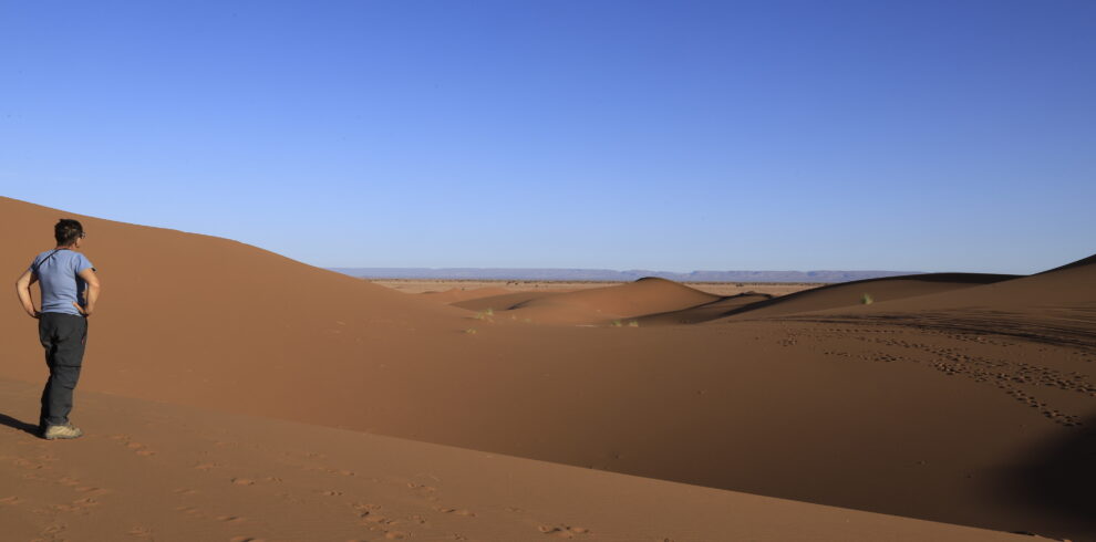 Randonneur au sommet d'une dune, désert du Sahara marocain