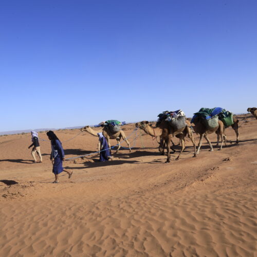 Caravane de chameaux chargés traversant le désert avec guides berbères