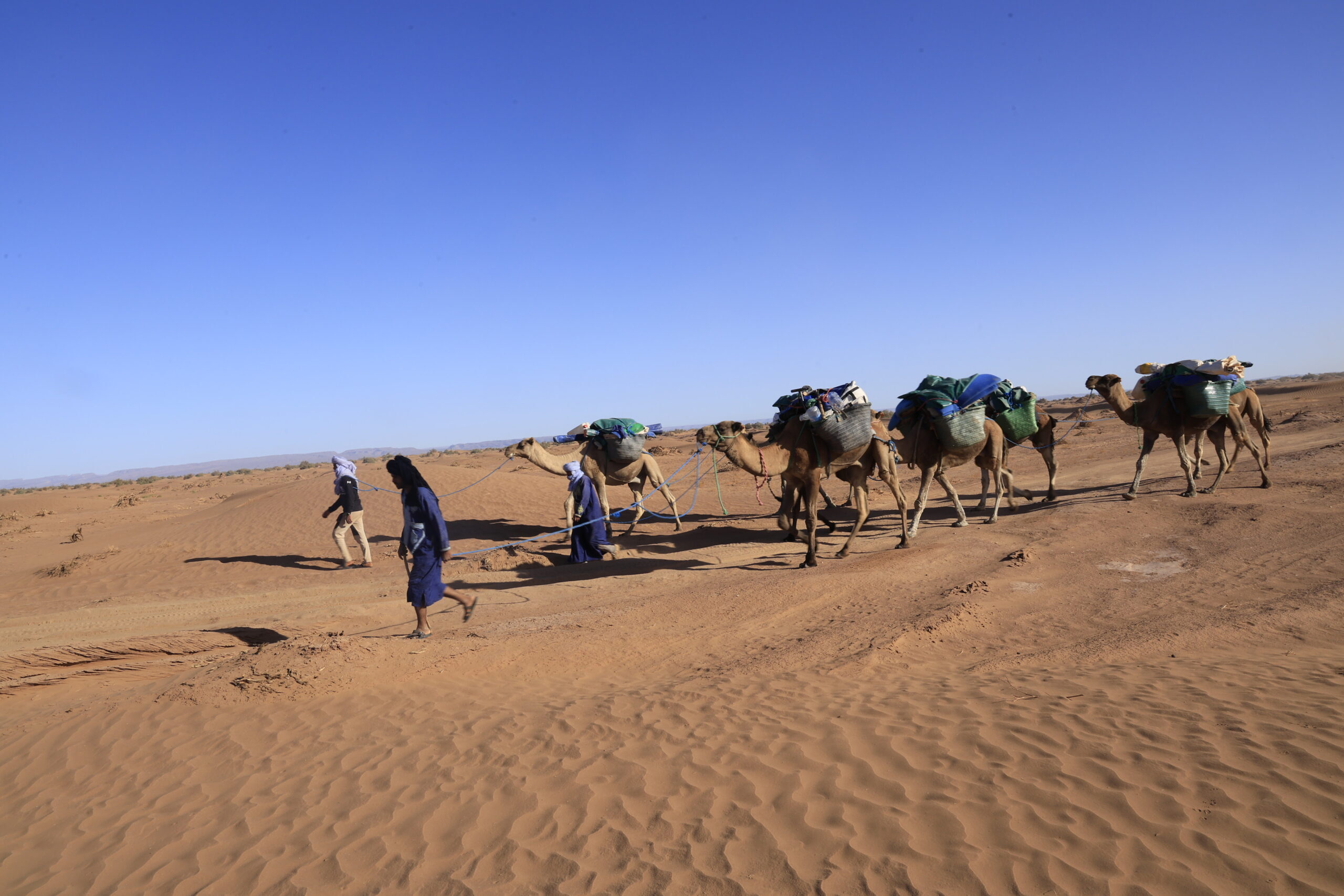 Caravane de chameaux chargés traversant le désert avec guides berbères