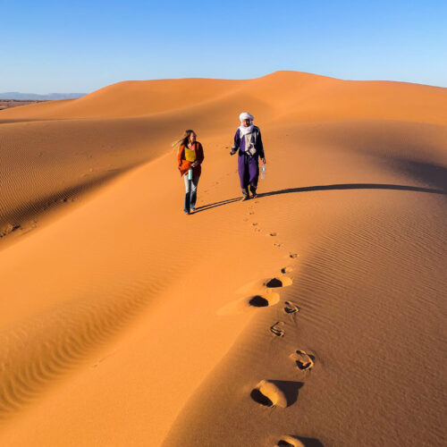 ECURSION DESERT MAROC